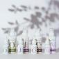 Preview: Bio-Oliven-Hautöl · 100ml